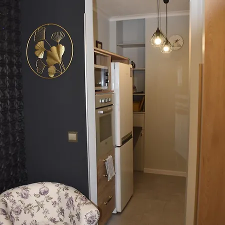 Koszutka Apartament *